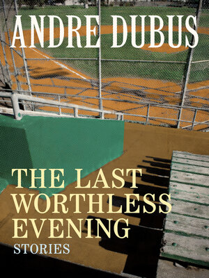 cover image of The Last Worthless Evening